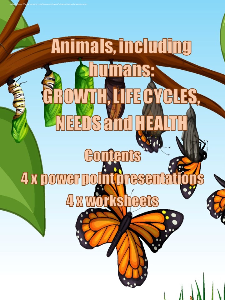 ANIMALS INCLUDING HUMANS GROWTH LIFE CYCLES NEEDS and HEALTH